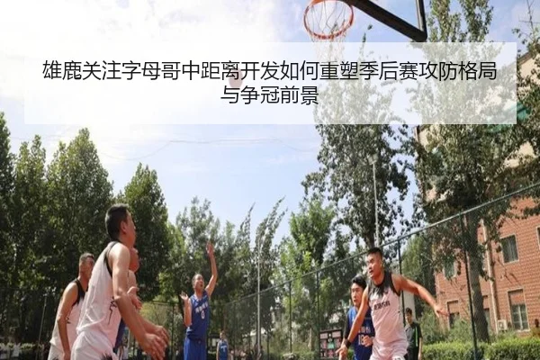 雄鹿关注字母哥中距离开发如何重塑季后赛攻防格局与争冠前景